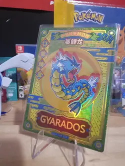 Gyarados KDJL-GR-024 Eif Baby Chinese Pokemon non-TCG Card - Image 3