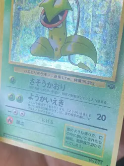 JAPANESE POKEMON VICTREEBEL No.071 HOLO SWIRL WIZARDS JUNGLE EMPIFLOR - EXC+ - Image 5
