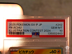 PSA 10 Pikachu 242 Sv-P Promo Illustration Contest 2024 (Japanese Pokemon Card) - Image 3