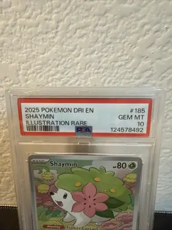 SHAYMIN #185 PSA 10 • 2025 Pokemon Destined Rivals Illustration Rare Gem Mint - Image 4