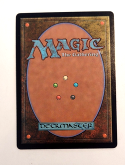 Dour Port-Mage (Showcase) - Bloomburrow (BLB) - EN - R 0303 - Image 2