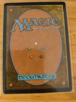 MTG Rowan, Scion Of War (Borderless) 0300 Wilds Of Eldraine M/NM Free UK P&P - Image 2