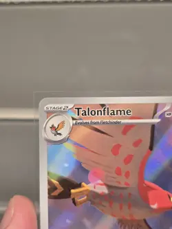 Talonflame 091/088 IR Pokemon Perfect Order Illustration Rare Pokemon TCG NM - Image 2