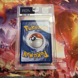 2016 POKEMON XY BLACK STAR PROMO SHINY MEGA GYARADOS #XY143 MAGIKARP-HOLO PSA 8 - Image 2
