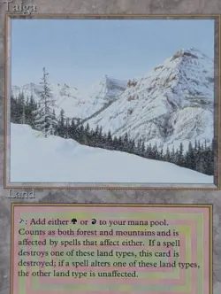 Taiga MTG Revised LP - Image 2