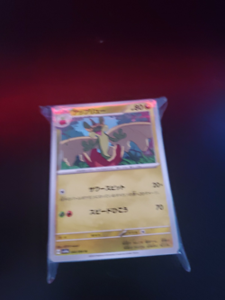 Japanese & English Pokemon Bulk *PLZ Read Description* - Image 4