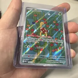 Pokemon Shuckle Illustration Rare IR Full Art Holo 136/132 Mega Evolution - Image 1