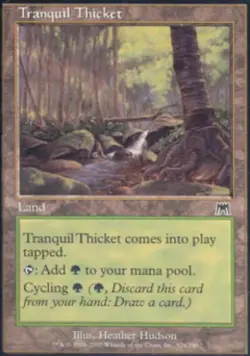 Tranquil Thicket - Medium Play MTG Onslaught - Image 1