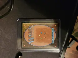 MTG Secret Lair #244 Shalai, Voice of Plenty Borderless NM - Image 2