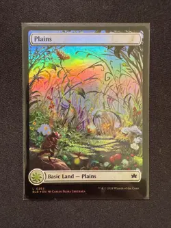 PLAINS (0263) Bloomburrow FOIL - Magic: The Gathering - NM/M - Image 1