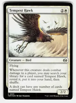 TEMPEST HAWK FOIL - Magic: The Gathering - Harding NM/M - Image 1