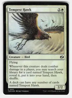 TEMPEST HAWK FOIL - Magic: The Gathering - Harding NM/M - Image 1