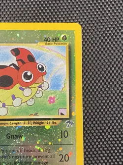 Ledyba 7/18 Reverse Holo Southern Islands 2001 Pokemon Card 🌈 WotC Vintage - Image 3