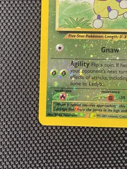 Ledyba 7/18 Reverse Holo Southern Islands 2001 Pokemon Card 🌈 WotC Vintage - Image 5