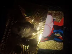 Waifu Harley Quinn Gold Card - Image 2