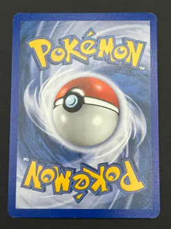 Wailmer 48/109 Uncommon Ruby & Sapphire Near Mint - Image 2