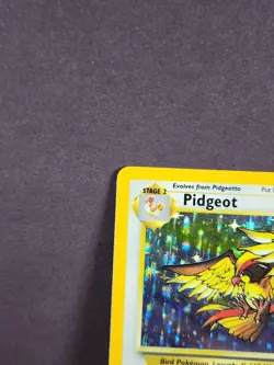 1999 Pokemon Jungle Pidgeot 08/64 Holo Rare Unlimited English TCG LP - FAST SHIP - Image 5