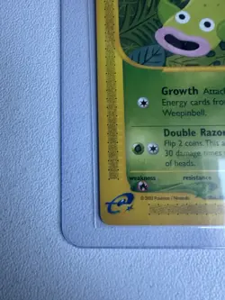 Weepinbell 65/147 Aquapolis WOTC Vintage Pokemon Uncommon 2002 - Image 3