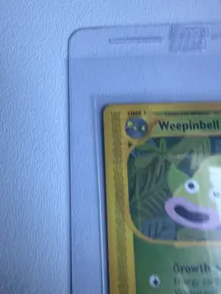 Weepinbell 65/147 Aquapolis WOTC Vintage Pokemon Uncommon 2002 - Image 4
