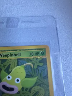 Weepinbell 65/147 Aquapolis WOTC Vintage Pokemon Uncommon 2002 - Image 5