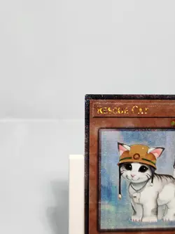 Rescue Cat RA02-EN001 Quarter Century Secret Rare 1st Edition Yugioh - Image 2