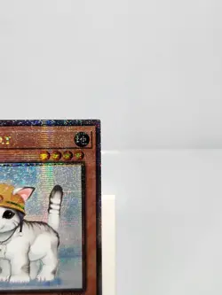 Rescue Cat RA02-EN001 Quarter Century Secret Rare 1st Edition Yugioh - Image 3
