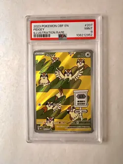Pokemon Pidgey 207/197 SV03: Obsidian Flames Illustration Rare Holo PSA 9 - Image 1