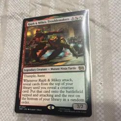 Raph & Mikey, Troublemakers Teenage Mutant Ninja Turtles Regular - Image 1