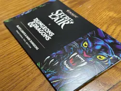 MTG Secret Lair Black Lights & Dark Dungeons Foil Edition - Sealed - Image 3