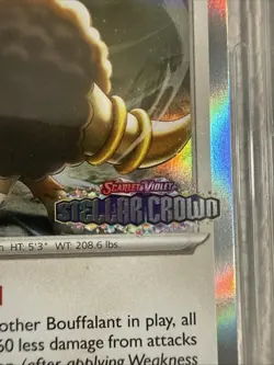 Pokemon TCG - Bouffalant SVP136 Stellar Crown Stamped. Promo. UGC Grade 9 Mint - Image 2