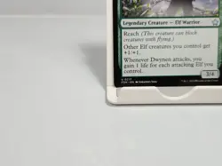 Dwynen, Gilt-Leaf Daen 217 Regular Foundations FDN MTG - Image 4