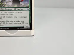 Dwynen, Gilt-Leaf Daen 217 Regular Foundations FDN MTG - Image 5