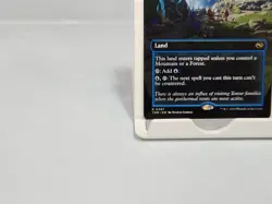 Mistrise Village #397 Borderless Alt Art TDM Tarkir Dragonstorm MTG - Image 4