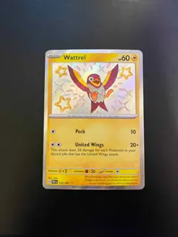 Wattrel 145/091 - Paldean Fates Shiny Holo Rare Pokemon TCG S&V LP - Image 1