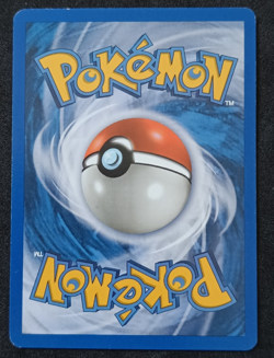 Pokemon TCG Piloswine 43/144 Skyridge Regular Uncommon Card LP WOTC Vintage - Image 2