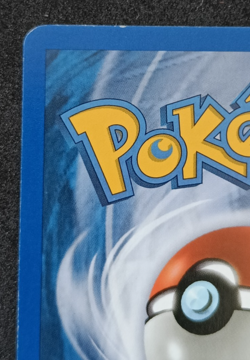 Pokemon TCG Piloswine 43/144 Skyridge Regular Uncommon Card LP WOTC Vintage - Image 4