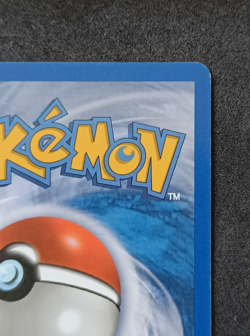 Pokemon TCG Piloswine 43/144 Skyridge Regular Uncommon Card LP WOTC Vintage - Image 5