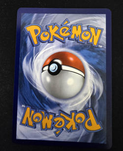 Swinub 165/159 Full Art Pokemon TCG Journey Together Illustration Rare - Image 2