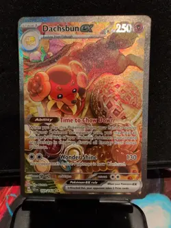 Tcg Pokemon Dachsbun ex 169/142 Sv07: Stellar Crown Holo. NM. - Image 1