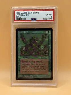 Living Lands – MTG Beta (1993) – PSA 6 EX-MT – Magic the Gathering - Image 1