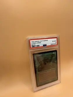 Living Lands – MTG Beta (1993) – PSA 6 EX-MT – Magic the Gathering - Image 2