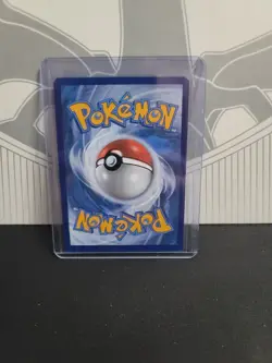 Pokemon Zorua 142/086 Sv: White Flare Illustration Rare Holo English - Image 2