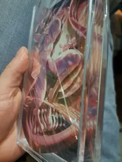 Pokemon Mewtwo Shadow Box Fant Art!!!!! - Image 3