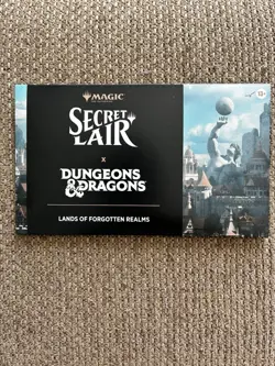 Magic The Gathering Secret Lair D&D Lands Forgotten Realms 10 Cards English - Image 1