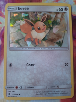 Eevee - 155/214 - Cracked Ice Holo Theme Deck Exclusive Pokemon - NM - Image 1
