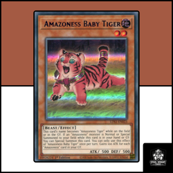 Amazoness Baby Tiger : LDS1-EN023 : Ultra Rare : Yu-Gi-Oh! TCG : ENG - Image 1