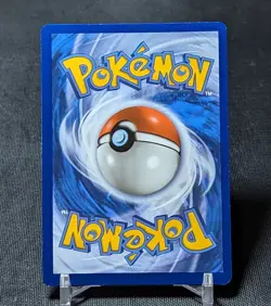 Buizel Common Reverse Holo Water 2022 Brilliant Stars Pokemon TCG Card 038/172 - Image 2