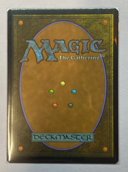 MTG - Modern Horizons 2 - Yavimaya, Cradle of Growth - Extended Art - NM - Image 2