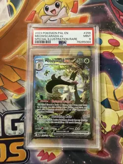 PSA 9 PAL EN Meowscarada ex #256 - 2023 Pokemon Sv02: Paldea Evolved 256/193 - Image 1