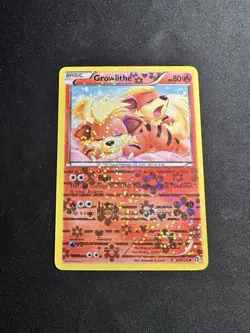 Pokemon Growlithe Radiant Collection Holo Uncommon Basic RC4/RC25 LP - Image 1
